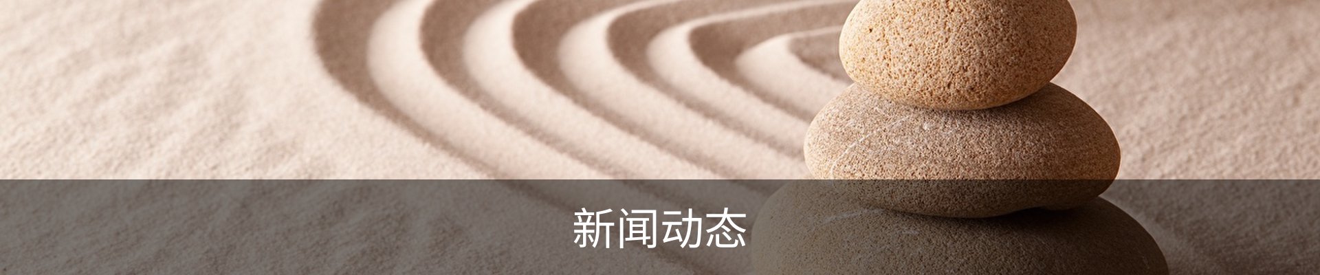 新闻动态
