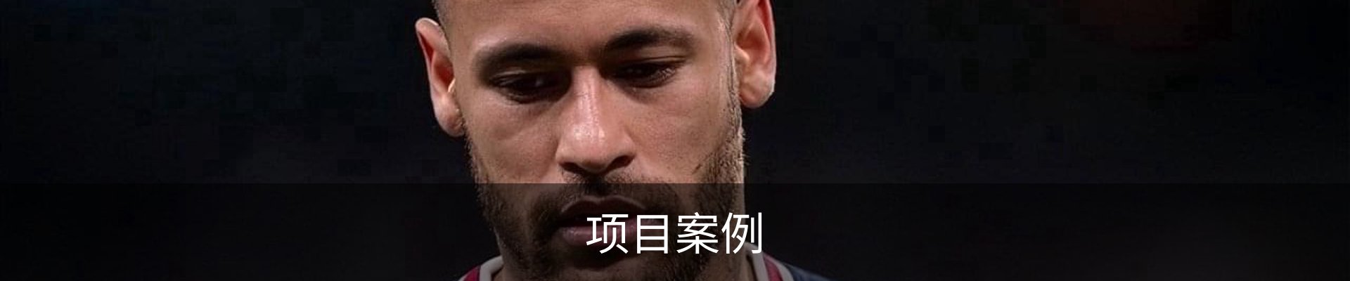 项目案例